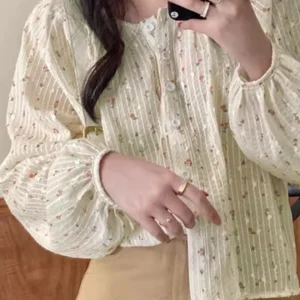 Sheer Placket Blouse