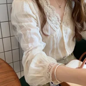 Sheer Placket Blouse